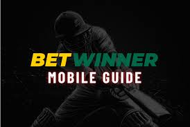 Todo lo que necesitas saber sobre Betwinner App 12